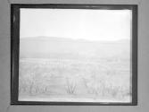 [Agricultural Landscape]