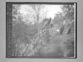 VHS On Healing Springs Path Top Of Mountain