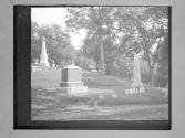 Cemetary And Bridgewater