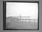 Innis Arden Pan'c(sic) No 3