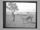 [Man and infant with cow]