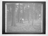 Van Cortlandt Park