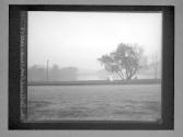 Van Cortlandt Park And Lake