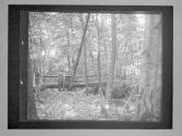 Kitchawan In Woods And Road C.I.F., C.L.F., L.M.F.
