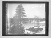 Central Park Sunday/ North From 72d St And 'The Falconer'