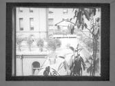Garden = 'North' Presbyterian Hospital From Alcove Window And Luceacop
