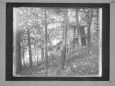 Dr. Youngs Camp