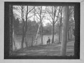 By The River In Westwood/ Olive's Home
