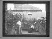 The Garden Miss Barrus And/ Lena And C.I.F.