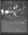 [C. Irving Fisher Holding Vines]