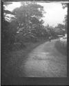 [Man in curved road]