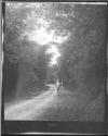 [C. Irving Fisher Standing In Road In Woods]
