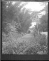 [Horse Cart On Road In Woods]