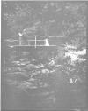 [C. Irving Fisher And Clarence L. Fisher On Bridge]
