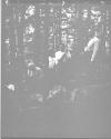 [C. Irving Fisher And Others Hiking In Woods]