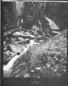 [Bridge And Rocky Cliffs]