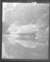 [Study, Rock Formation In Pond]