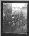 C.L.F. In Garden Rooftop