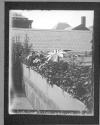 The Garden Panc(sic) No 3