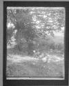 Dr. Youngs Camp And The Spring