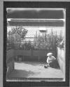 Gertrude And Cat = Garden