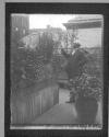 The Gardener/ C.I.F. In Garden