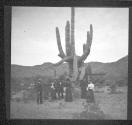 [People And Horse Cart By Cactus]