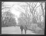 Central Park The Mall Looking N