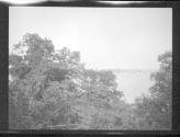 [Trees And Marine View (Pond Or Lake)]