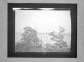 [Cityscape And Marine View]
