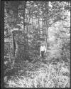 [C. Irving Fisher In Woods]