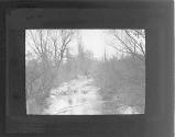 [Stream in woods]