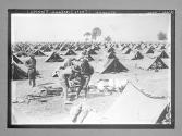 Etats-Unis Armee (Photo Overland Monthly)