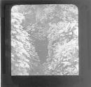 Dean's well Laracor (Swift)