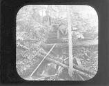Near Raymondskill Pike Co
