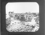 Elisha's Fountain near Jericho