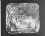 Street to Fountain-Baalbec