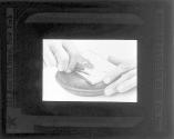[Untitled]