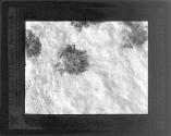 [Untitled]