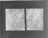[Untitled]