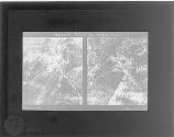 [Untitled]