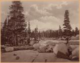 Ancient Glacier Channel. Lake Tenaya. Sierra Nevada Mountains.