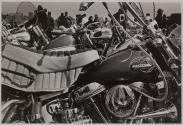 Field meet, Long Island, New York