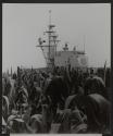 Cornfield Cruiser