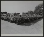[USPS DJ-5 delivery jeeps in factory parking lot.]