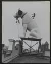 [Rooftop sculpture of "Nipper" being groomed by Barry La Point and George Luft]