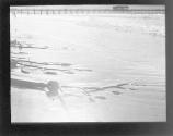 [Beach]