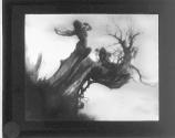 [Storm Tree]
