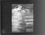 [The Magic Pool]