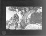 [Untitled]